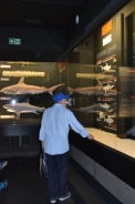 Oceanarium w Gdyni, 08.08.2018 r.9