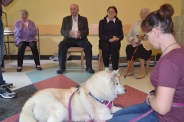 Odwiedziny Fundacji Dogoterapeutycznej Husky team, 05-06.07.2017 r.1