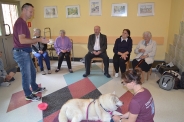Odwiedziny Fundacji Dogoterapeutycznej Husky team, 05-06.07.2017 r.3