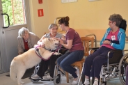 Odwiedziny Fundacji Dogoterapeutycznej Husky team, 05-06.07.2017 r.5