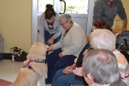 Odwiedziny Fundacji Dogoterapeutycznej Husky team, 05-06.07.2017 r.6