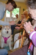 Odwiedziny Fundacji Dogoterapeutycznej Husky team, 05-06.07.2017 r.8