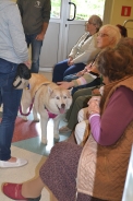 Odwiedziny Fundacji Dogoterapeutycznej Husky team, 05-06.07.2017 r.9