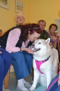 Odwiedziny Fundacji Dogoterapeutycznej Husky team, 05-06.07.2017 r.12