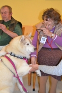 Odwiedziny Fundacji Dogoterapeutycznej Husky team, 05-06.07.2017 r.13