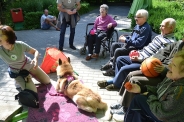 Odwiedziny Fundacji Dogoterapeutycznej Husky team, 05-06.07.2017 r.20