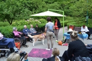 Odwiedziny Fundacji Dogoterapeutycznej Husky team, 05-06.07.2017 r.21
