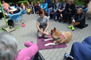 Odwiedziny Fundacji Dogoterapeutycznej Husky team, 05-06.07.2017 r.22