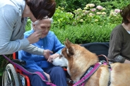 Odwiedziny Fundacji Dogoterapeutycznej Husky team, 05-06.07.2017 r.25