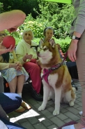 Odwiedziny Fundacji Dogoterapeutycznej Husky team, 05-06.07.2017 r.28