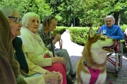 Odwiedziny Fundacji Dogoterapeutycznej Husky team, 05-06.07.2017 r.29