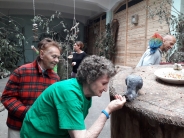Papugarnia, 04.07.2019 r.3