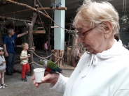 Papugarnia, 04.07.2019 r.6