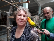 Papugarnia, 04.07.2019 r.7