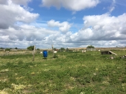 Rejs statkiem po trawie, 10.07.2019 r.8