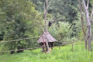 Wycieczka do ZOO, 11.07.2017 r.4