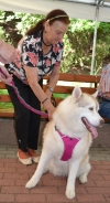 Zaj�cia terapeutyczne z udzia�em psa, 29.07.2016 r.3
