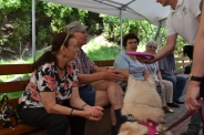 Zaj�cia terapeutyczne z udzia�em psa, 29.07.2016 r.4