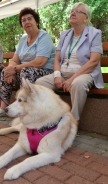 Zaj�cia terapeutyczne z udzia�em psa, 29.07.2016 r.8