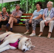 Zaj�cia terapeutyczne z udzia�em psa, 29.07.2016 r.13