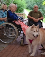 Zaj�cia terapeutyczne z udzia�em psa, 29.07.2016 r.15