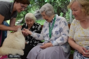 Zaj�cia terapeutyczne z udzia�em psa, 29.07.2016 r.19