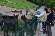 ZOO 07.07.2015 r.14
