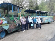 �wiatowy Dzie� Pingwina w Oliwskim ZOO, 25.04.2018 r.2