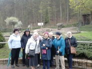 �wiatowy Dzie� Pingwina w Oliwskim ZOO, 25.04.2018 r.3