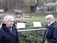 �wiatowy Dzie� Pingwina w Oliwskim ZOO, 25.04.2018 r.4