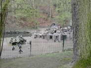 �wiatowy Dzie� Pingwina w Oliwskim ZOO, 25.04.2018 r.7