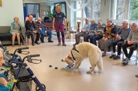Dogoterapia z Grupą Enzo, 01.02.2024 r.