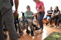 Dogoterapia na Polankach, 09.07.2018 r.