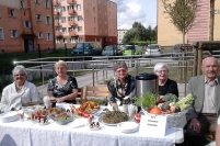 Dzień Łasucha, 29.08.2018 r.