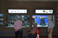 Oceanarium w Gdyni, 08.08.2018 r.