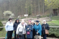 Światowy Dzień Pingwina w Oliwskim ZOO, 25.04.2018 r.