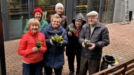 Zakwitły bratki na Polankach1