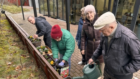 Zakwitły bratki na Polankach2