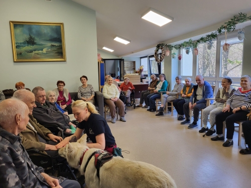 Dogoterapia z <q>Enzo</q>