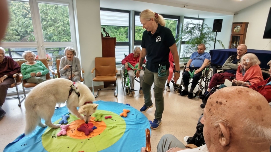 Dogoterapia z grupą Enzo